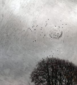 Cover for 'Warping space-time'