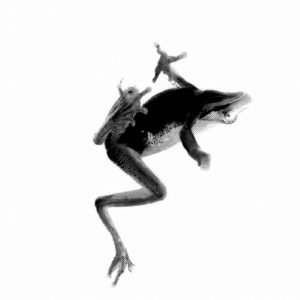 Sermones Ad Mortuos single 'You See Them in The Skies​/​Challenger'